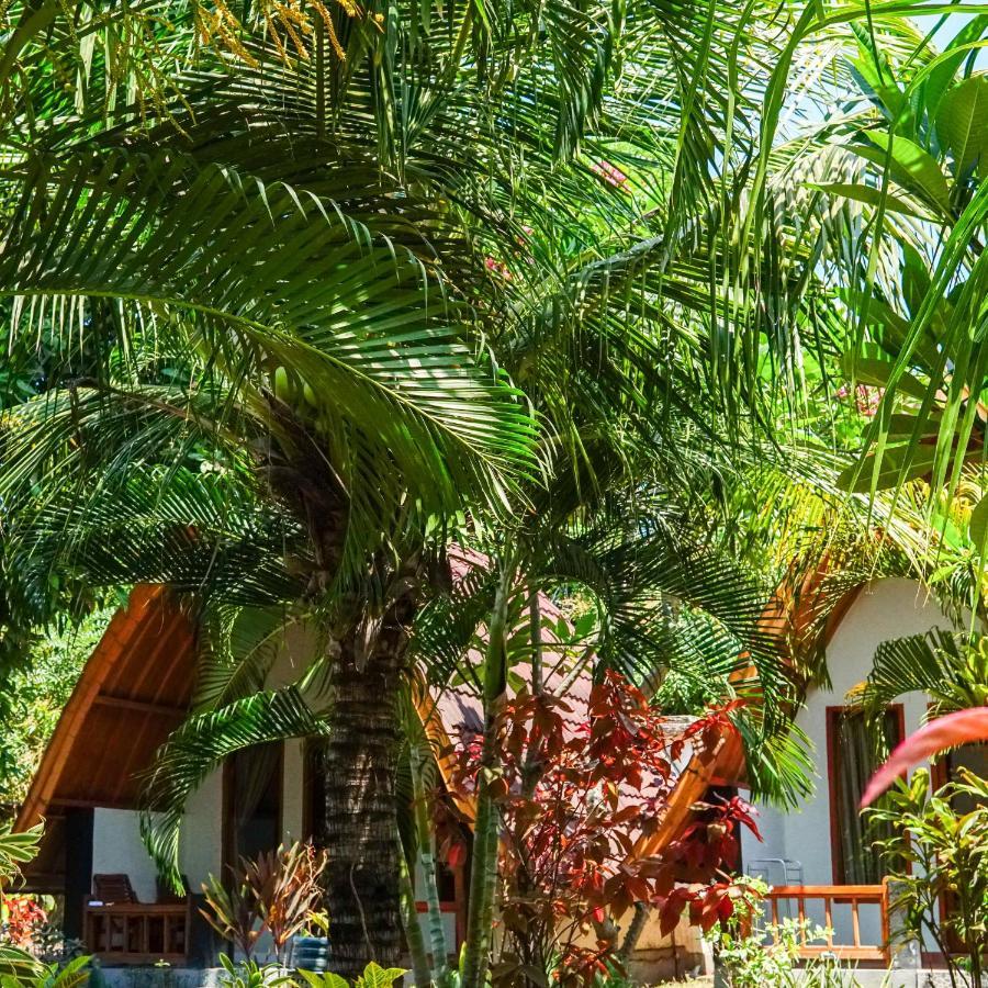Hotel Florine'S Garden Gili Air Exteriér fotografie