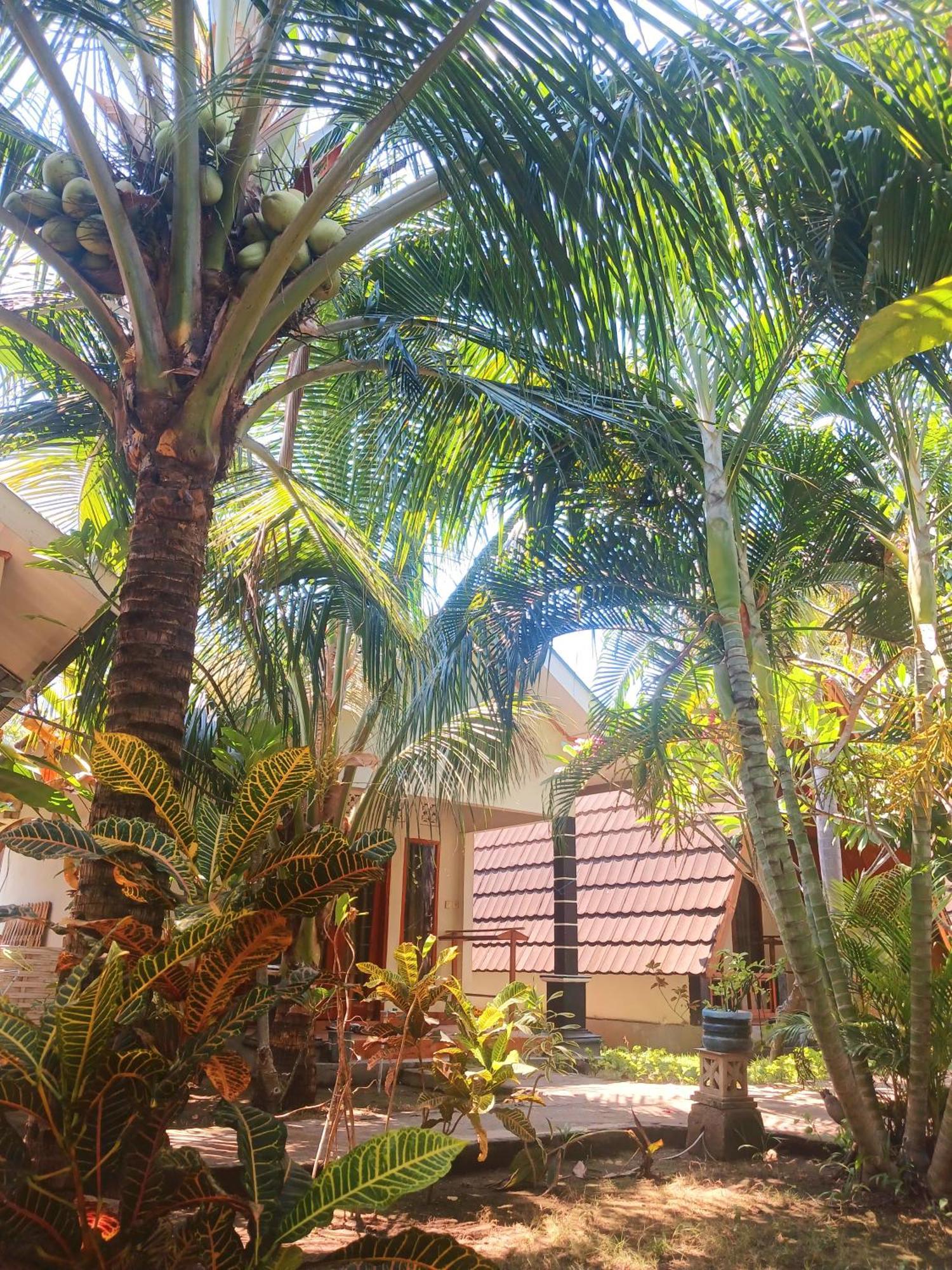 Hotel Florine'S Garden Gili Air Exteriér fotografie